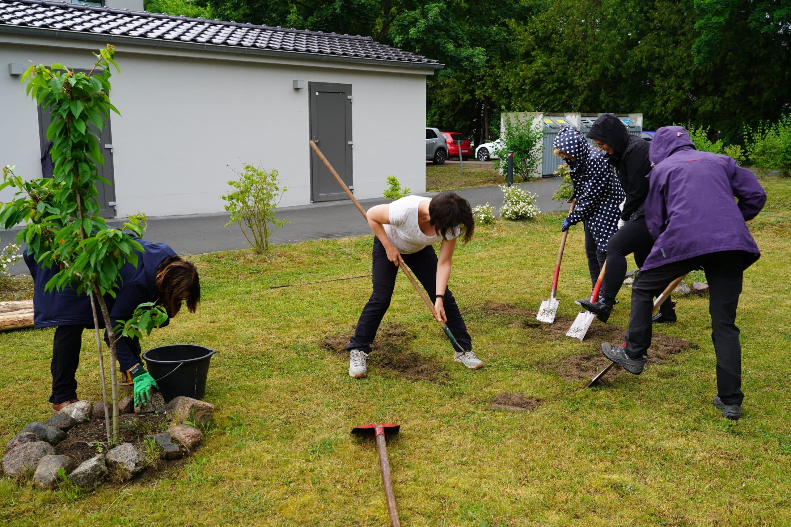Social Day Bild für HP